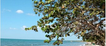 Private Cabin Facing the Sea 🌊