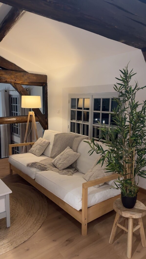 Smart TV, fireplace, books, computer monitors