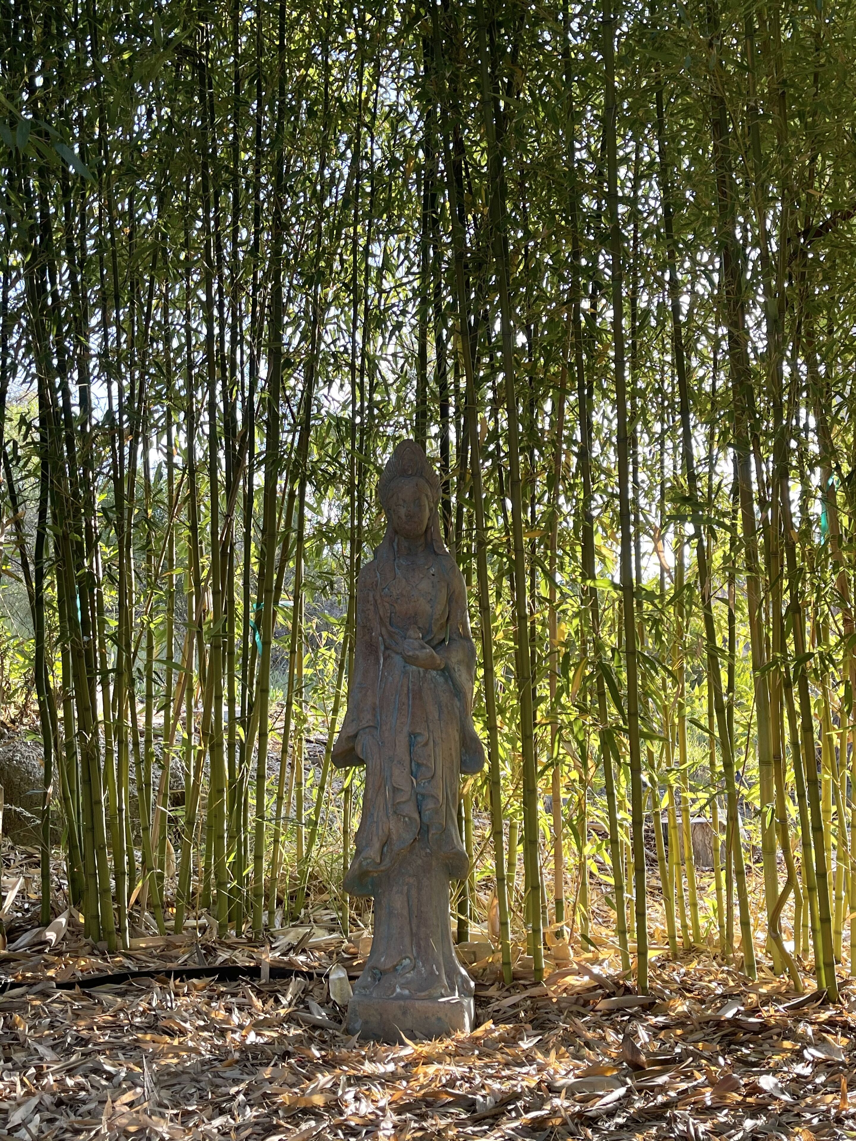 A stone statue in a forested area with bamboo.