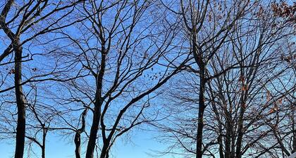 Condo in world class Leelanau Peninsula, Suttons Bay Beach Condo