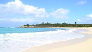 Ein Strand mit klarem, blauem Wasser, sandigem Ufer und einer Baumreihe im Hintergrund.