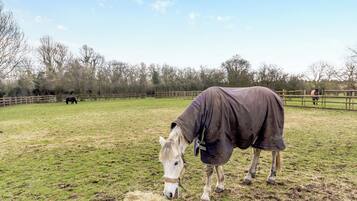 View | The Barn, Ropsley, near Grantham