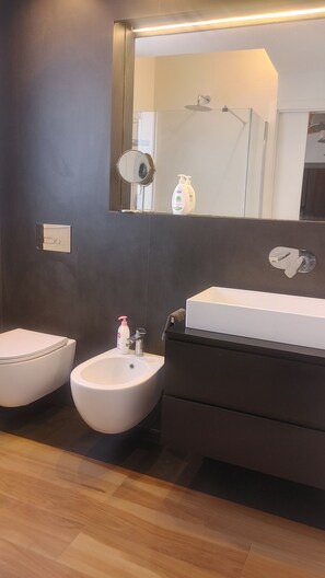 Regadera, secadora de cabello, bidet, toallas 