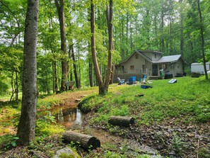 Exterior - Tails, Trails, & Trout River Access @ Toccoa-Currents - King - Firepit - Dog (Suches)