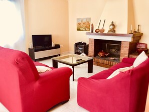 Televisión, chimenea y libros 