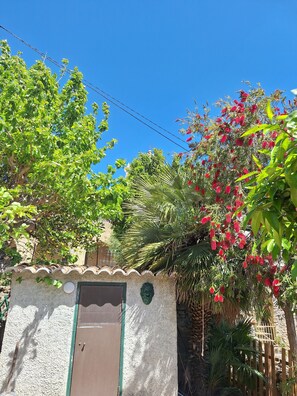 Terrein van de accommodatie