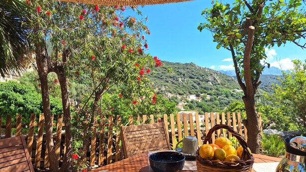 Taula de fusta amb una tetera blava, un bol negre i una cistada de limones.
