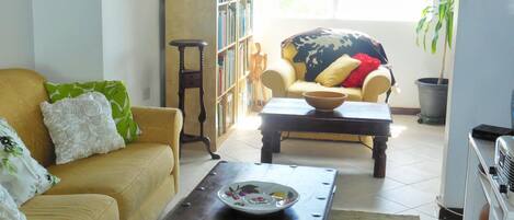 Smart TV, DVD player, books, stereo