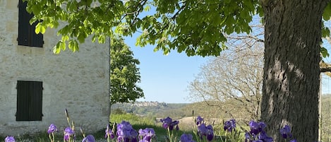 A white building with a stone facade and dark shutters, surrounded by lush greenery and purple flowers.