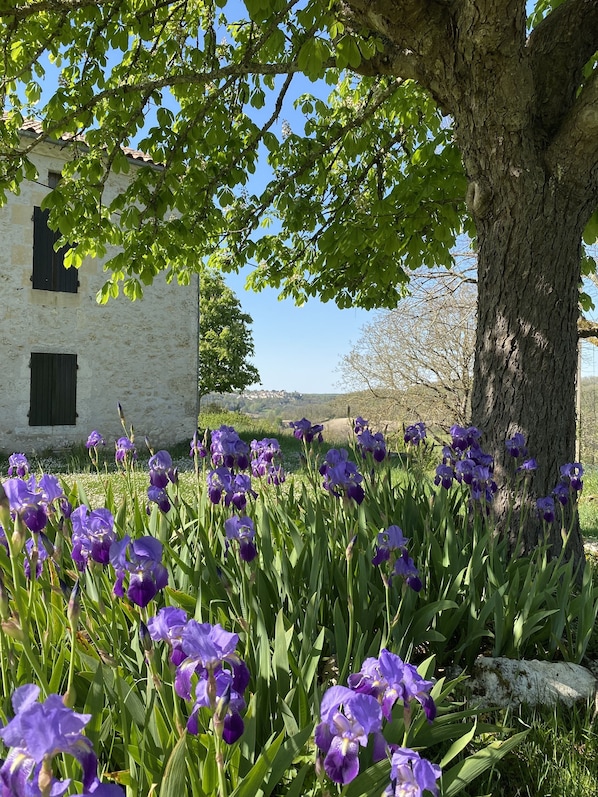 A white building with a stone facade and dark shutters, surrounded by lush greenery and purple flowers.