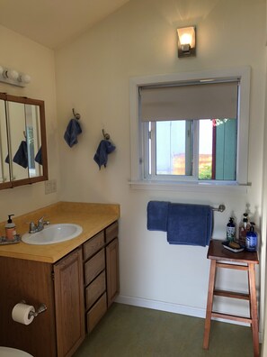 Hiustenkuivaaja, pyyhkeet, saippua, sampoo