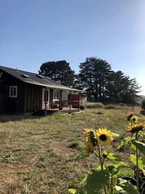 Àrea exterior de l'allotjament