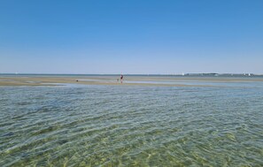 Beach nearby, fishing