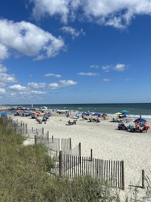 On the beach