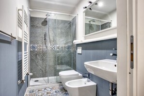 Shower, hair dryer, bidet, towels