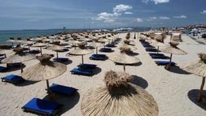 Een strand met rijen ligbedden en rieten parasols.