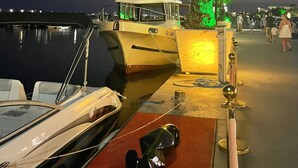 Een jachthaven met aangemeerde boten, een verlichte palmboom en een rode loper die naar een gebouw leidt.