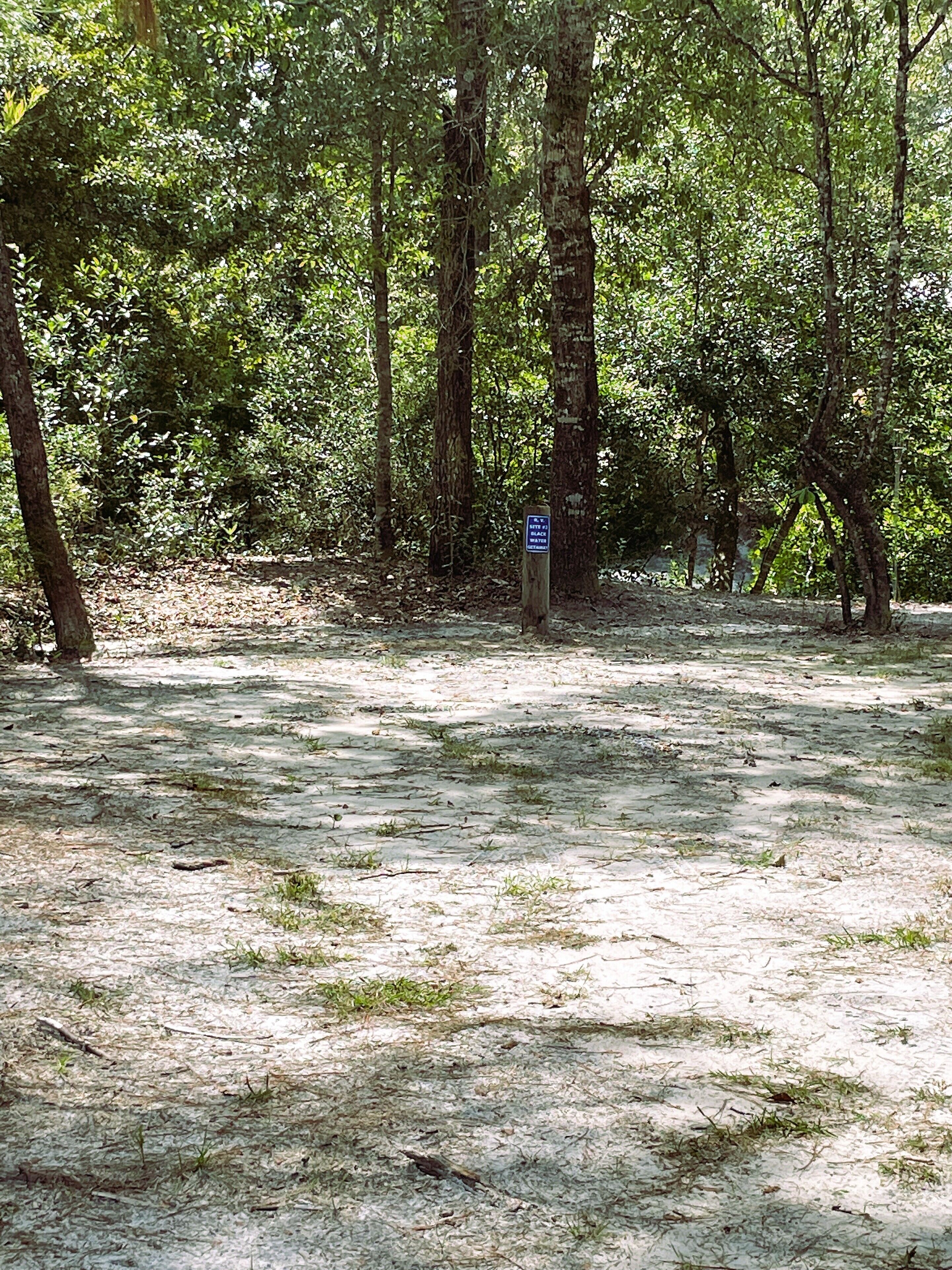 A natural setting with a sign indicating a black bear area.