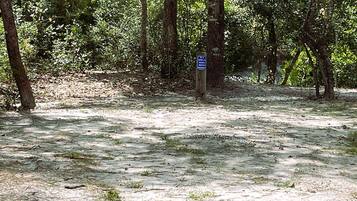 A natural setting with a sign indicating a black bear area.