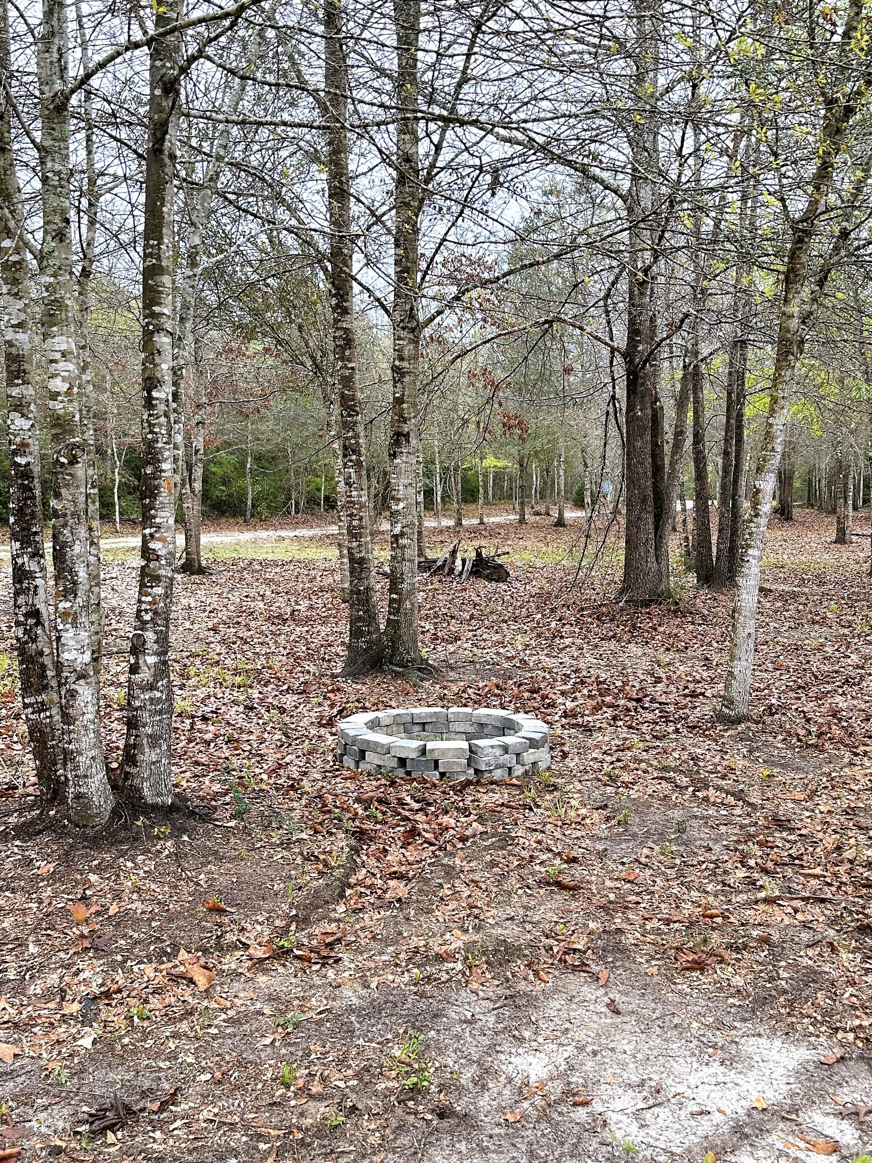 Un bosque con abedules y un hoyo de fuego de piedra circular rodeado de hojas caídas.