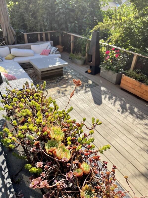 A wooden deck with a potted succulent plant in the foreground and a seating area with cushions and a table in the background. - House of HERS-Whimsical Seattle retreat near Jefferson Park. (Seattle)