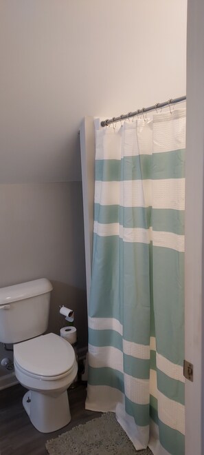 Bathroom - Eclectic Apartment- 2-4 friends- Family centered. Safe Neighborhood (Gloucester)