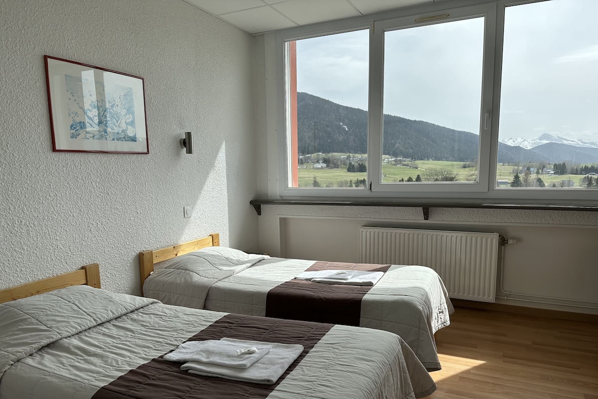 A bedroom with two beds, a window with a mountain view, and a radiator.