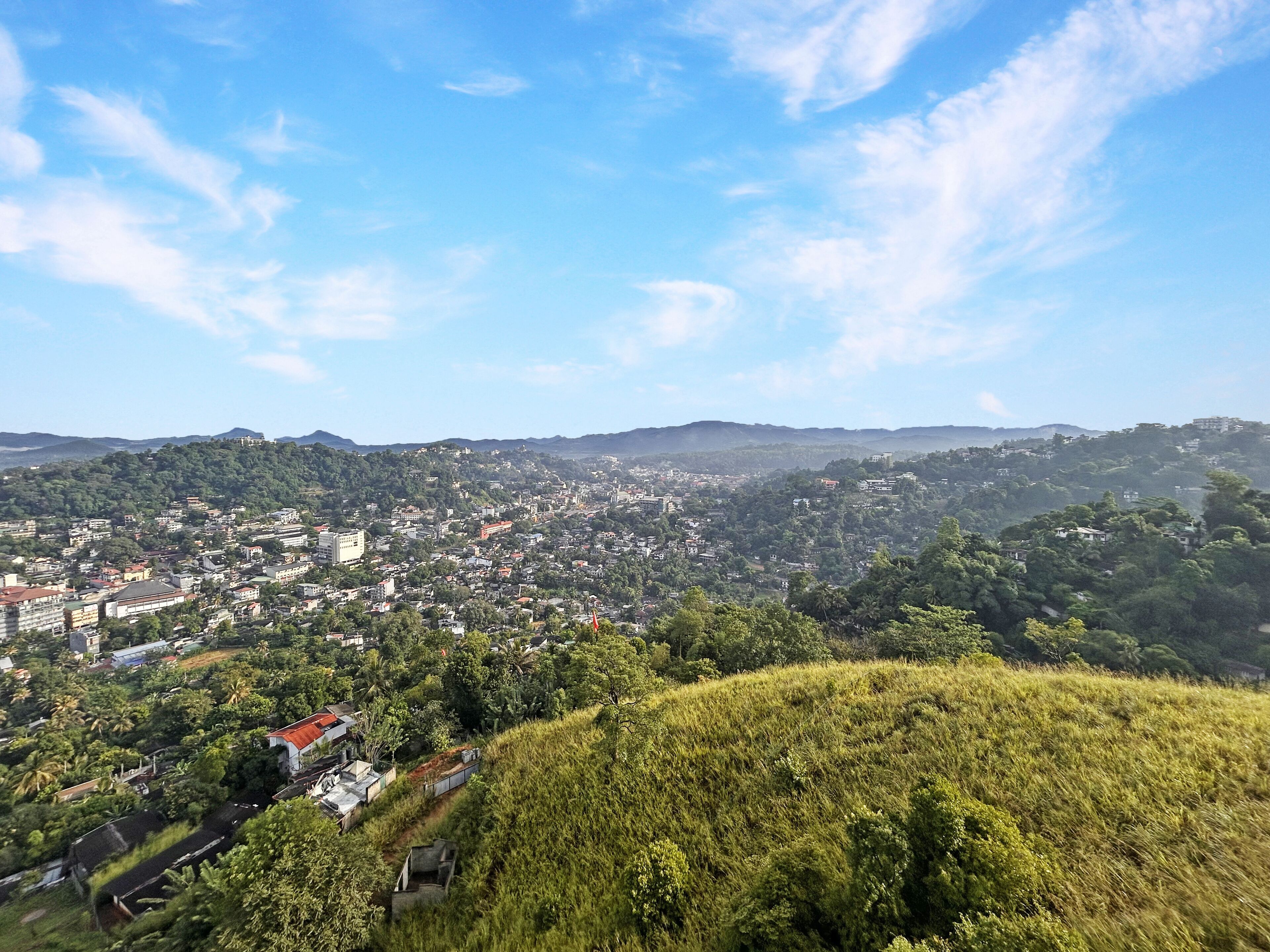 Una vista panorámica de una ciudad con zonas urbanas densas, colinas verdes y un cielo despejado.