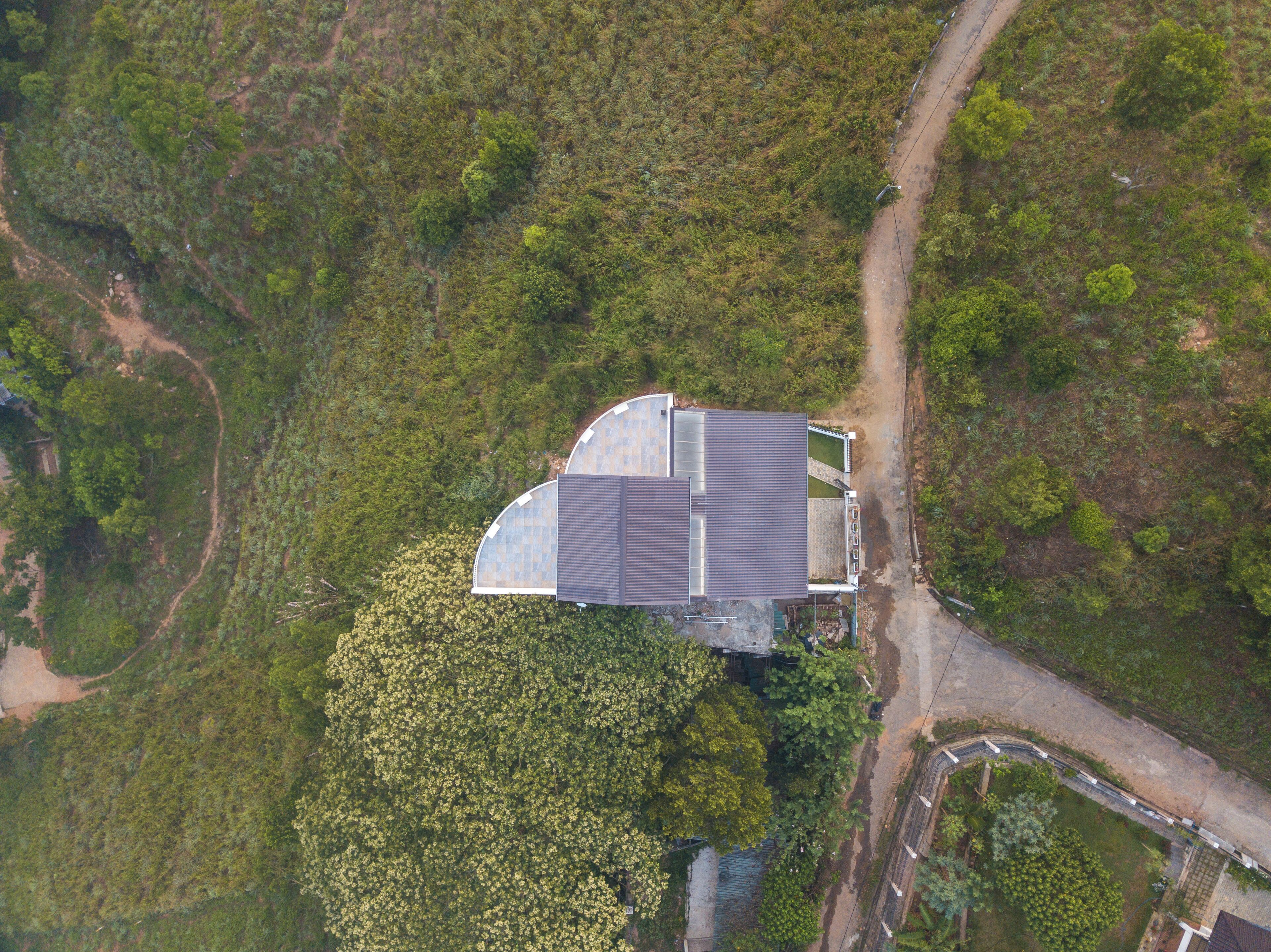 An aerial view of a building with a curved roof, surrounded by dense greenery and a dirt path.