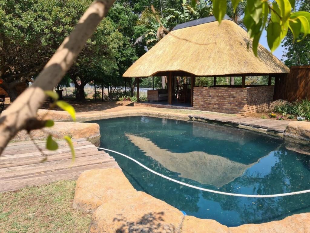 室外游泳池，日光浴躺椅