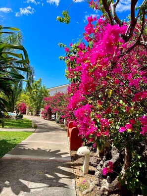 Overnattingsstedets uteområder