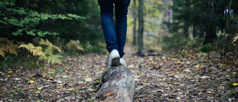 A person walking on a log in a forest.