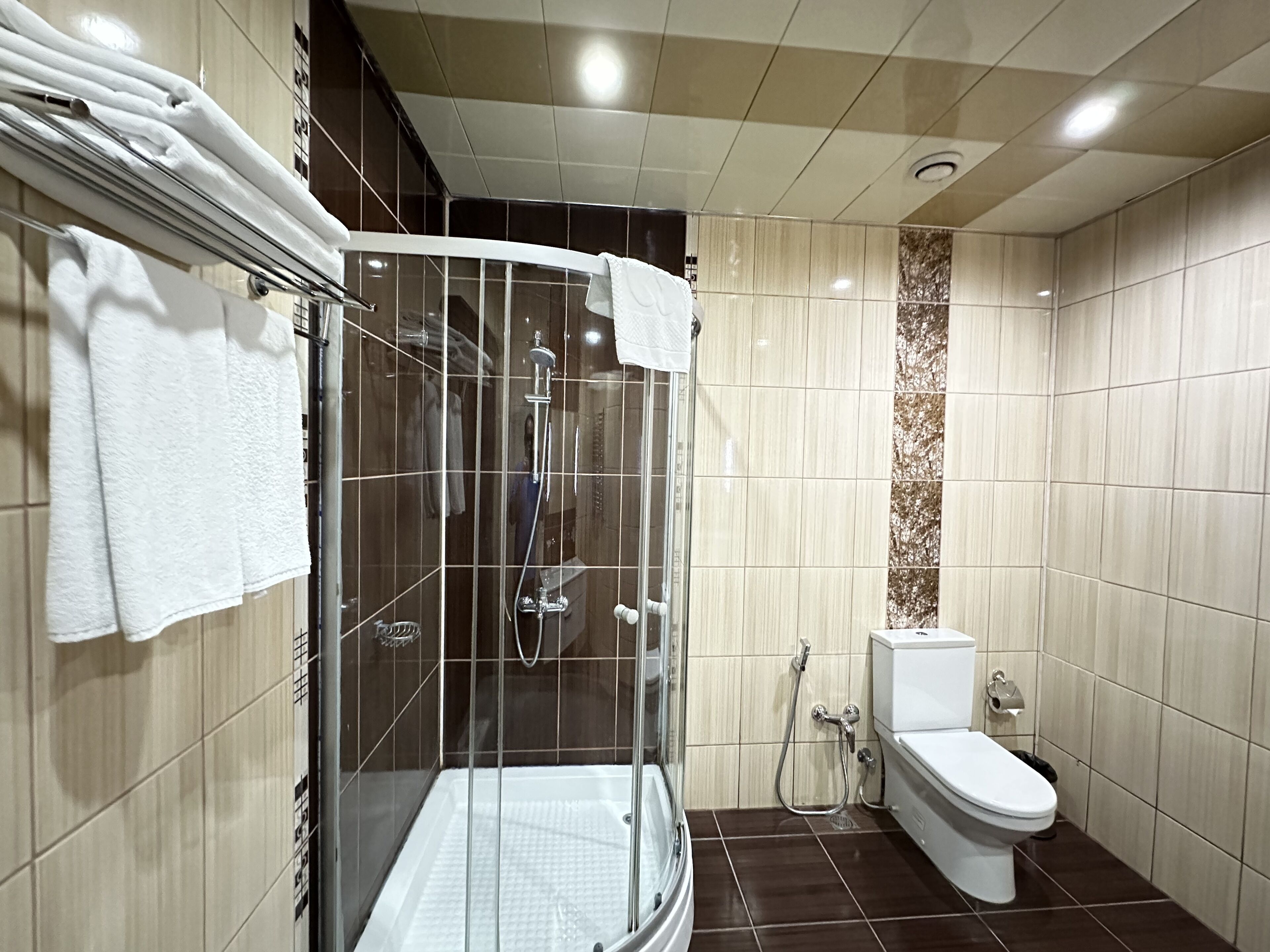 A modern bathroom with a glass-enclosed shower, a toilet, and a towel rack.