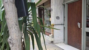 L’entrée d’un immeuble avec une porte en bois, une enseigne indiquant « PASTA SHOP » et un arbre sur lequel est suspendu un objet.