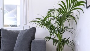 Ein graues Sofa, ein gewebter Blumentopf und ein kleiner runder Tisch mit schwarzem Metallgestell.