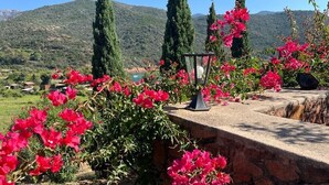 A stone wall with a lantern, surrounded by vibrant pink bougainvillea flowers, set against a backdrop of mountains and cypress trees. - Spend exceptional holidays in a protected village , by the sea (Osani)