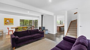 TV, fireplace, books