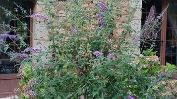 DĂ©tail de lâextĂ©rieur