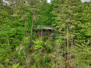 A cabin surrounded by dense forest.