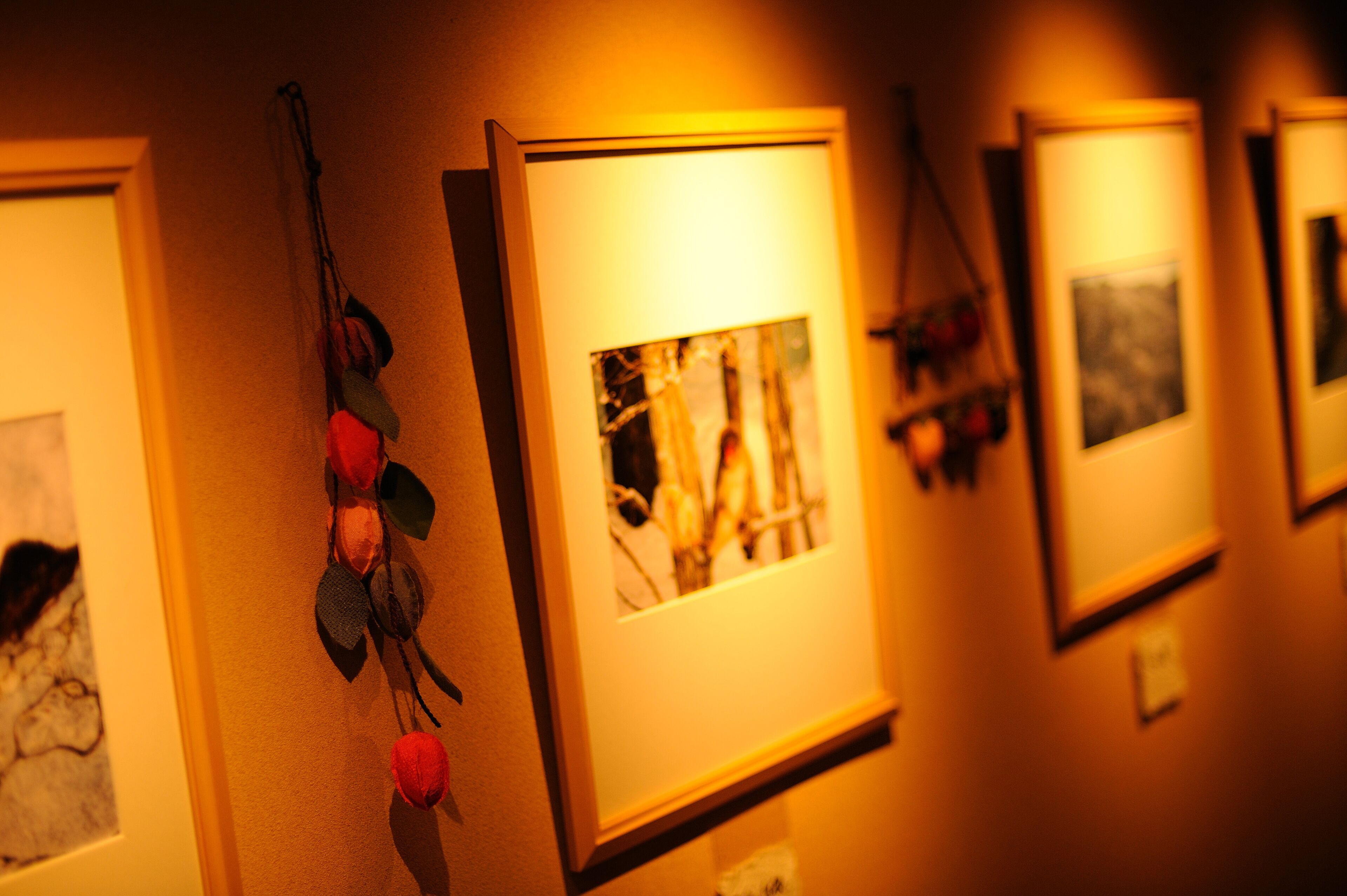 A series of framed artworks on a wall, with a decorative element hanging below.