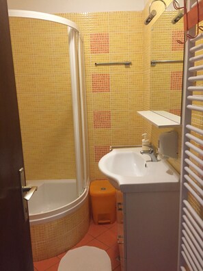 Chuveiro, secador de cabelo, toalhas de banho, papel higiênico