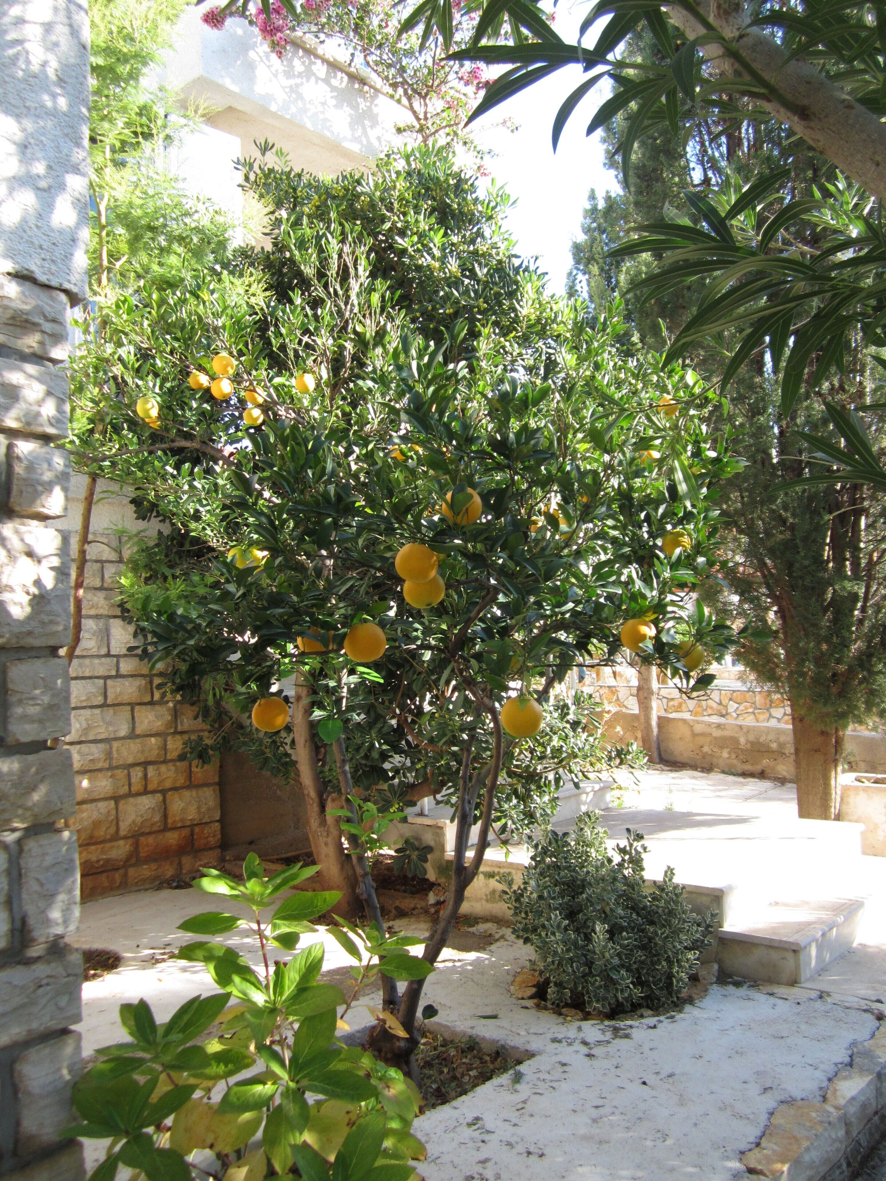 Área da propriedade