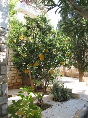 Terrein van de accommodatie