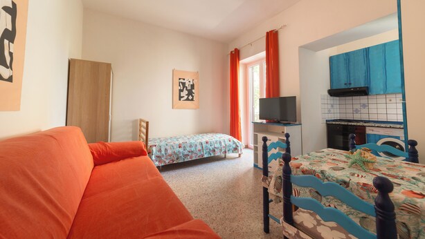 Une chambre comprenant un lit, un canapé, une télévision et un coin cuisine.