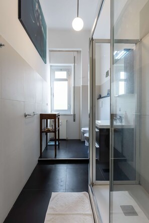 Shower, hair dryer, bidet, towels