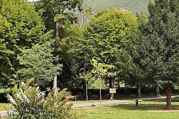 le Parc Château Gipières