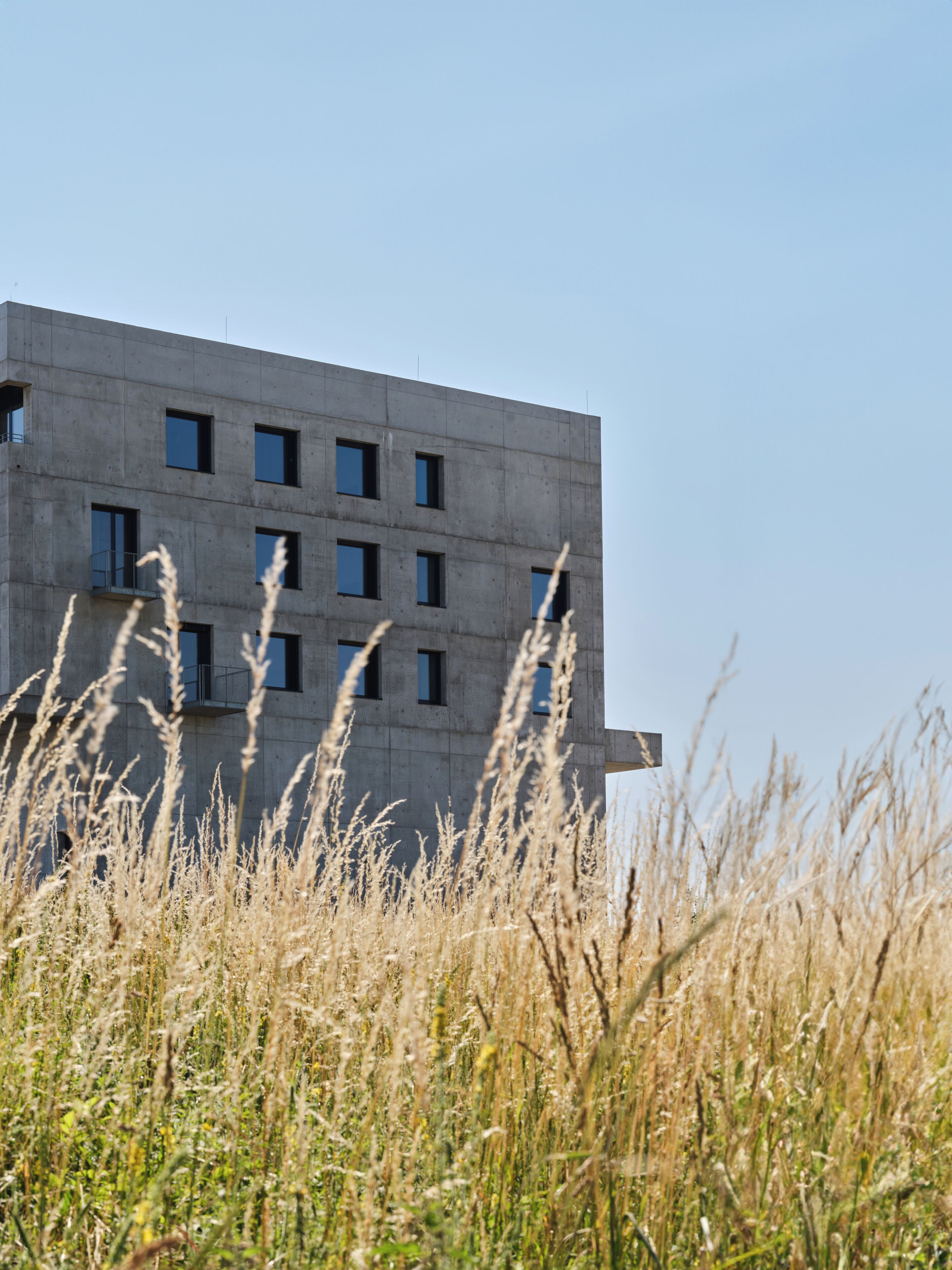 واجهة المنشأة