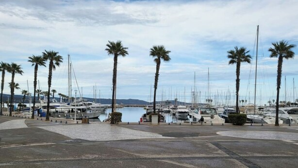 Puerto deportivo con barcos amarrados, palmeras y un paseo marítimo pavimentado.