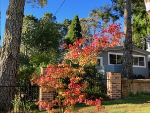 Property grounds - Sunflower - Cozy Cabin, Lake, Pet & Family Friendly (Wentworth Falls)