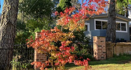Sunflower - Cozy Cabin, Lake, Pet & Family Friendly